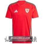 Thailandia Home Maglia Calcio Galles 2024