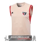 Sao Paulo Senza Maniche Formazione Maglia Calcio 2023-24 Giallo Arancione