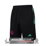 Bayern Monaco Formazione Pantaloni 2023-24 Nero I Purpureo Verde