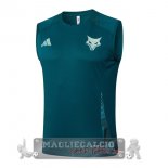 Maglia Senza Maniche Formazione Cruzeiro 2025 2026 Verde Maglia Senza Maniche Formazione Cruzeiro 2025 2026 Verde
