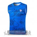 Formazione Senza Maniche Francia 2026 Blu