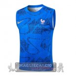 Formazione Senza Maniche Francia 2026 Blu