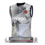 Chelsea Formazione Senza Maniche Maglia Calcio 2023-24 Giallo Bianco