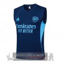 Arsenal Maglia Senza Maniche Formazione 2025 2026 Blu Navy