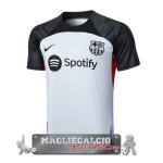 Barcelona Formazione Maglia Calcio 2023-24 Grigio Luce Rosso