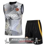 Chelsea Formazione Senza Maniche Set Completo Maglia Calcio 2023-24 Giallo I Nero