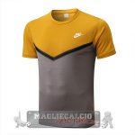 Formazione Maglia Calcio Nike 2022-2023 Giallo Grigio