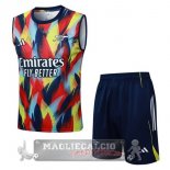 Set Completo Arsenal Maglia Senza Maniche Formazione 2025 2026 Giallo Blu Set Completo Arsenal Maglia Senza Maniche Formazione 2025 2026 Giallo Blu