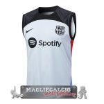 Barcelona Formazione Senza Maniche Maglia Calcio 2023-24 Grigio Luce Rosso