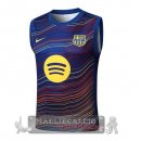 Maglia Formazione Senza Maniche Barcelona 2025 2026 Blu Giallo
