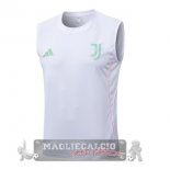 Maglia Formazione Senza Maniche Juventus 2025 2026 Bianco Rosa