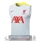 Formazione Senza ManicheLiverpool 2024 2025 Grigio Giallo
