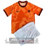 Paesi Bassi Bambino la Maglia concetto 2022 arancione