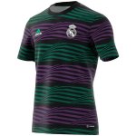 Tailandia Previo al partido Maglia Calcio Real Madrid 2023-24 Purpureo Verde
