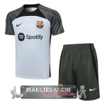 Barcelona Formazione Senza Maniche Set Completo Maglia Calcio 2023-24 Grigio Luce Verde