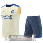 Formazione Senza Maniche Set Completo Inter Milan 2024 2025 Giallo Grigio