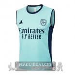 Arsenal Maglia Senza Maniche Formazione 2025 2026 Verde Luce Arsenal Maglia Senza Maniche Formazione 2025 2026 Verde Luce