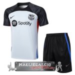 Barcelona Formazione Set Completo Maglia Calcio 2023-24 Grigio Luce Nero