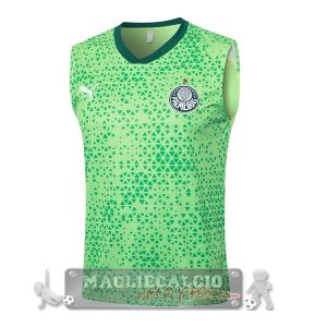 Maglia Palmeiras Senza Maniche Formazione 2025 2026 Verde