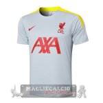 Formazione Liverpool 2024 2025 Grigio Giallo
