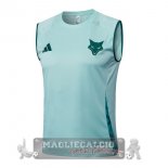 Maglia Senza Maniche Formazione Cruzeiro 2025 2026 I Verde Maglia Senza Maniche Formazione Cruzeiro 2025 2026 I Verde