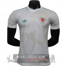 Away Giocatori Maglia Galles 2026