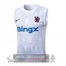 Chelsea Maglia Formazione Senza Maniche 2025 2026 Bianco Blu