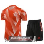 Bayern Monaco Formazione Set Completo Maglia Calcio 2023 Arancione Nero