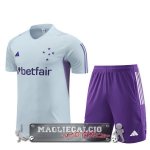 Cruzeiro EC Formazione Set Completo Maglia Calcio 2023-24 Grigio Purpureo