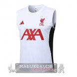 Maglia Senza Maniche Formazione Liverpool 2025 2026 Bianco Rosso Nero