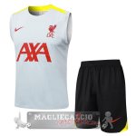 Formazione Senza Maniche Set Completo Liverpool 2024 2025 Grigio Giallo Nero