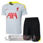 Formazione Set Completo Liverpool 2024 2025 Grigio Giallo Nero