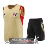Sao Paulo Senza Maniche Formazione Set Completo Maglia Calcio 2023-24 Giallo Rosso Nero