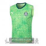 Maglia Palmeiras Senza Maniche Formazione 2025 2026 Verde