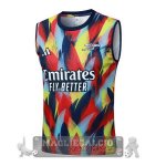 Arsenal Maglia Senza Maniche Formazione 2025 2026 Giallo Blu