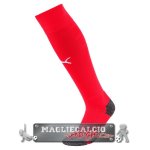 Home Calcetines Bambino Svizzera EURO 2018