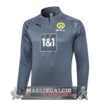 Borussia Dortmund Grigio Luce Felpa Da Allenamento 2023-24