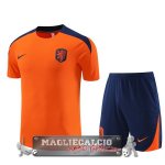 Formazione Set Completo Paesi Bassi 2024 Arancione Blu