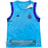 Argentina Senza Maniche Maglia Calcio 2023 Blu