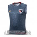 Maglia Senza Maniche Formazione Sao Paulo 2025 2026 Grigio