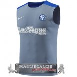 Formazione Senza Maniche Inter Milan 2024-25 Gris Azul