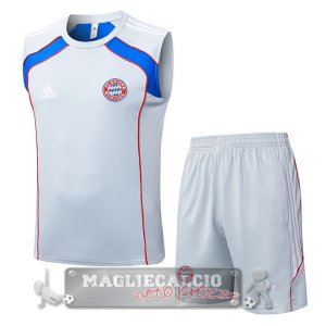Set Completo Formazione Senza Maniche Maglia Bayern Monaco 2025 2026 Grigio Blu