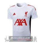 Maglia Formazione Liverpool 2025 2026 Bianco Rosso