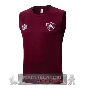 Formazione Senza Maniche Fluminense 2025 2026 Rosso