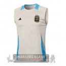 Formazione Senza Maniche Argentina 2024 Giallo Blu