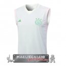 Ajax Senza Maniche Formazione Maglia Calcio 2023-24 Verde Luce
