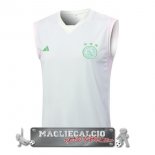 Ajax Senza Maniche Formazione Maglia Calcio 2023-24 Verde Luce
