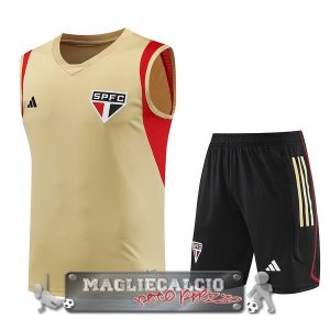 Sao Paulo Senza Maniche Formazione Set Completo Maglia Calcio 2023-24 Giallo Rosso Nero