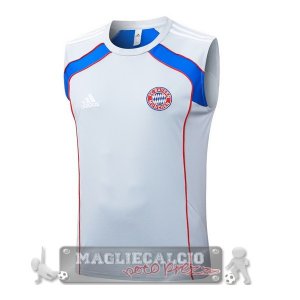 Formazione Senza Maniche Maglia Bayern Monaco 2025 2026 Grigio Blu
