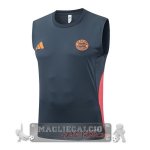 Formazione Senza Maniche Maglia Bayern Monaco 2025 2026 Grigio Navy